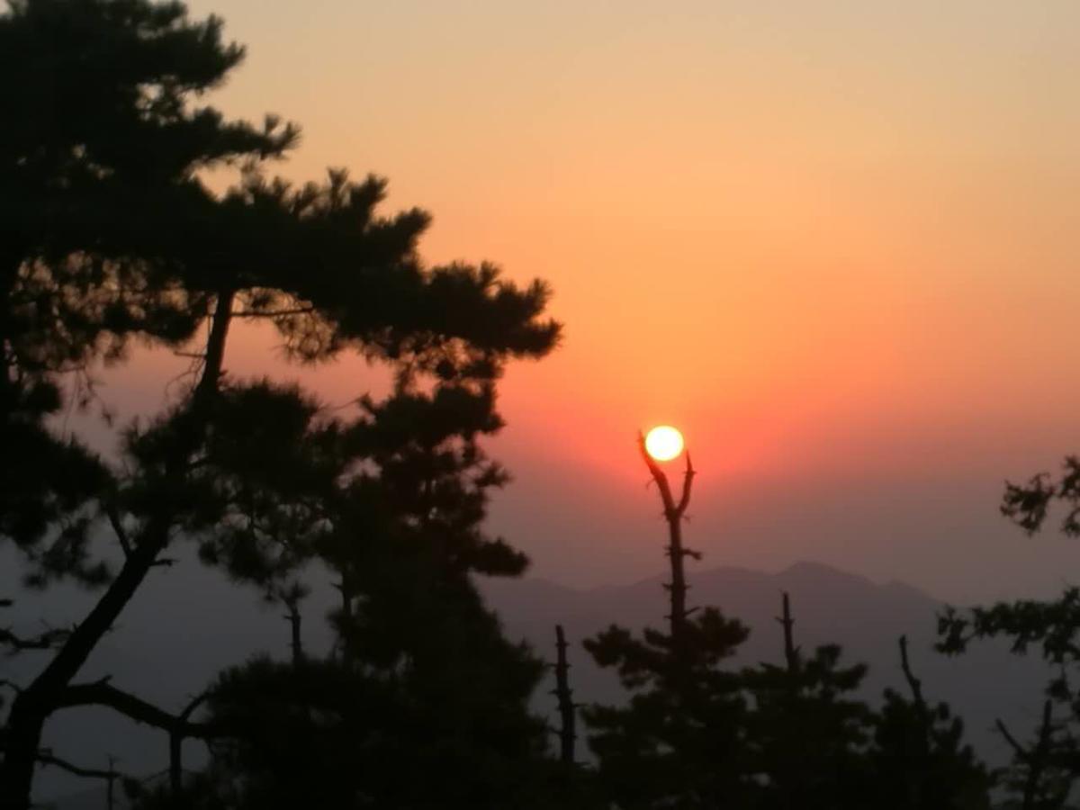Mogan Mountain Xiaomusensen Villa Deqing Eksteriør billede