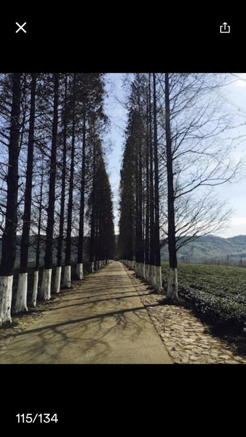Mogan Mountain Xiaomusensen Villa Deqing Eksteriør billede