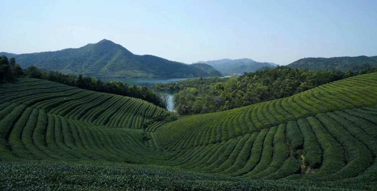 Mogan Mountain Xiaomusensen Villa Deqing Eksteriør billede